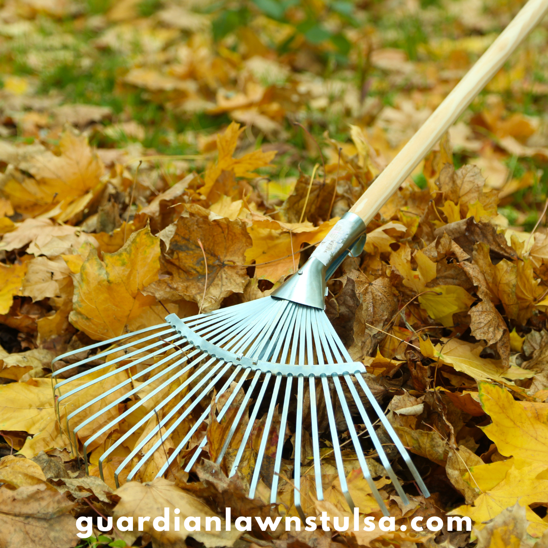 Fall Into Lawn Care: Essential Tips for Maintaining Your Yard this October with Guardian Lawn Care